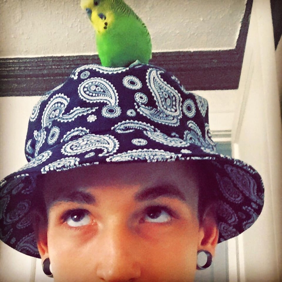 Meet your Posher, Steven - Picture 1 of 1