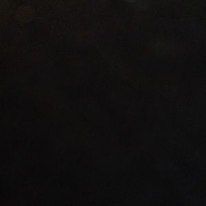 Meet your Posher, Janelle