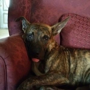 Meet your Posher, Nicki