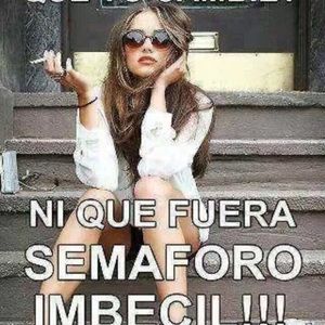 Meet your Posher, Karla