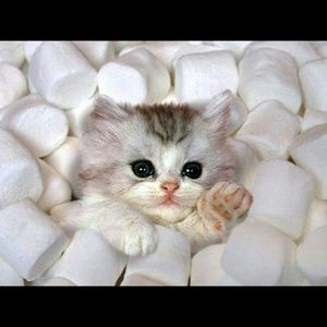 BUNDLE for JBailey3557