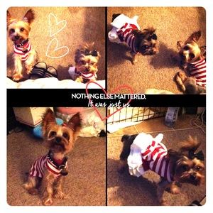 Custom pet clothes