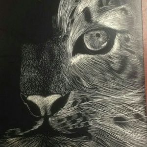 Meet your Posher, Magen