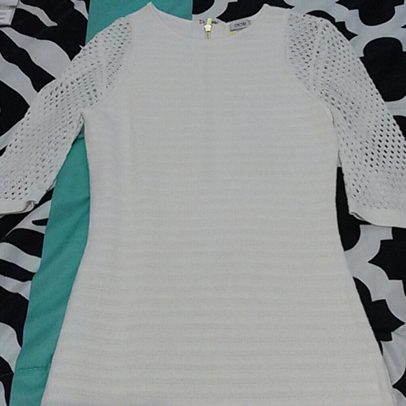 Cache' Body Con Dress