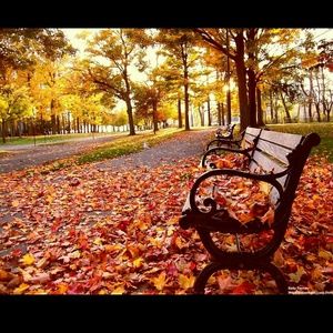 Meet your Posher, Vicky