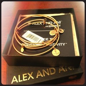 Alex and Ani 3 bracelets set