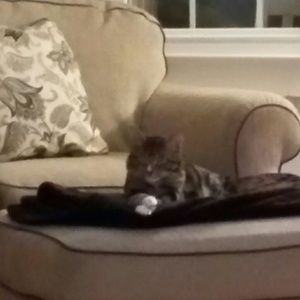 Meet your Posher, Tammy