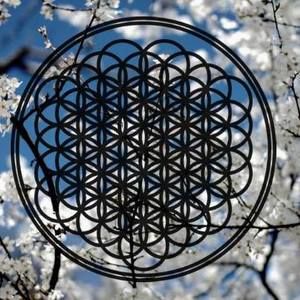 Meet your Posher, Ian