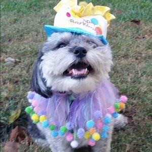 Meet your Posher, Mary