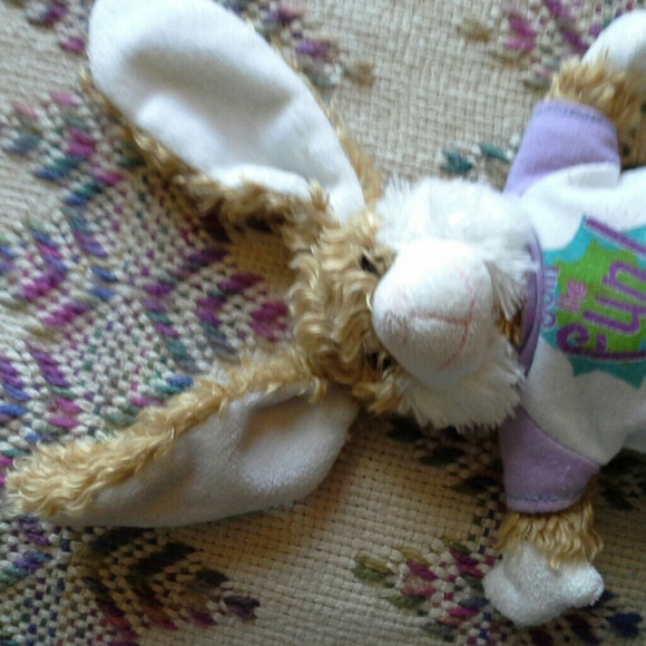 A bunny