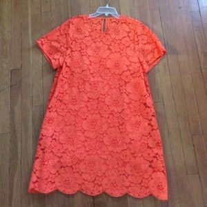 BCBG lace dress*only worn once*