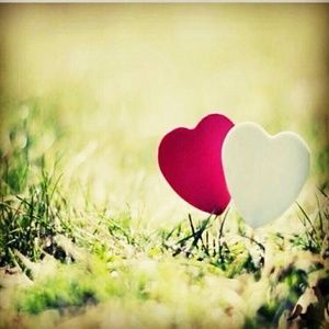 Meet your Posher, Ali