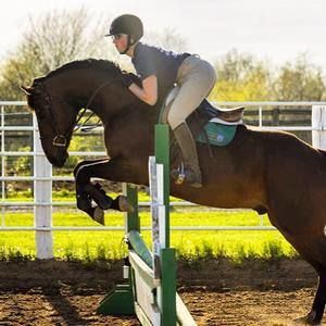 Meet your Posher, Riley