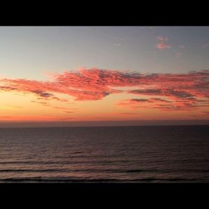 Meet your Posher, Kailee