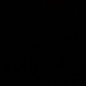 Meet your Posher, Sandy