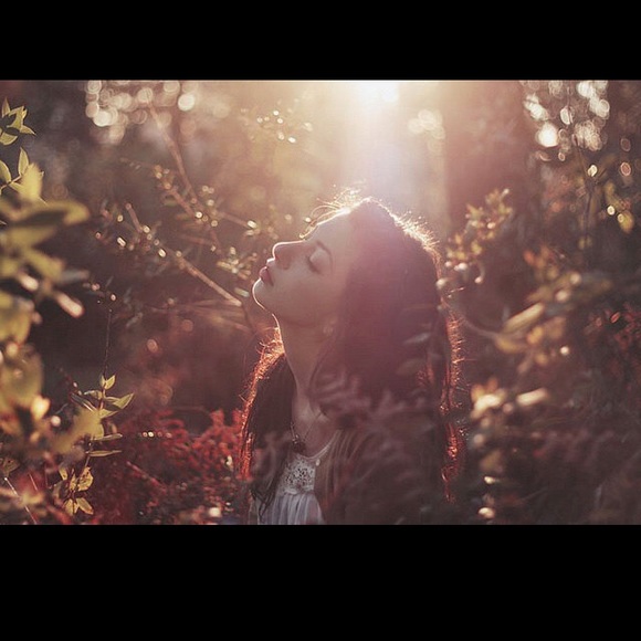 Chestnut synthetic clip-in hair extension