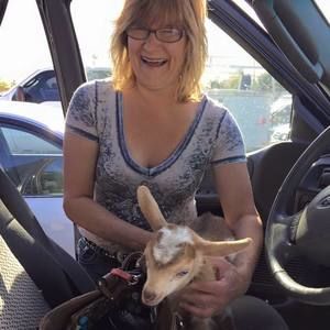 Meet your Posher, Vicki