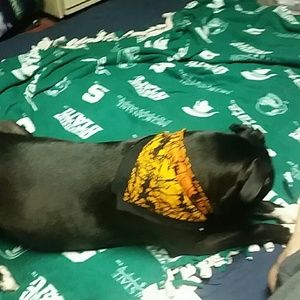 Meet your Posher, Michael