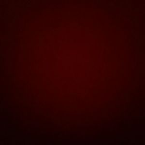 Meet your Posher, Gavin