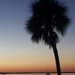 Meet your Posher, Misty