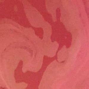 Meet your Posher, Elisabeth