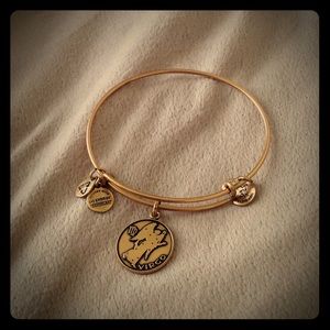 Alex and ani bracelet