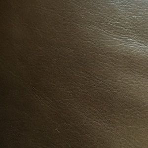 Meet your Posher, Sandy