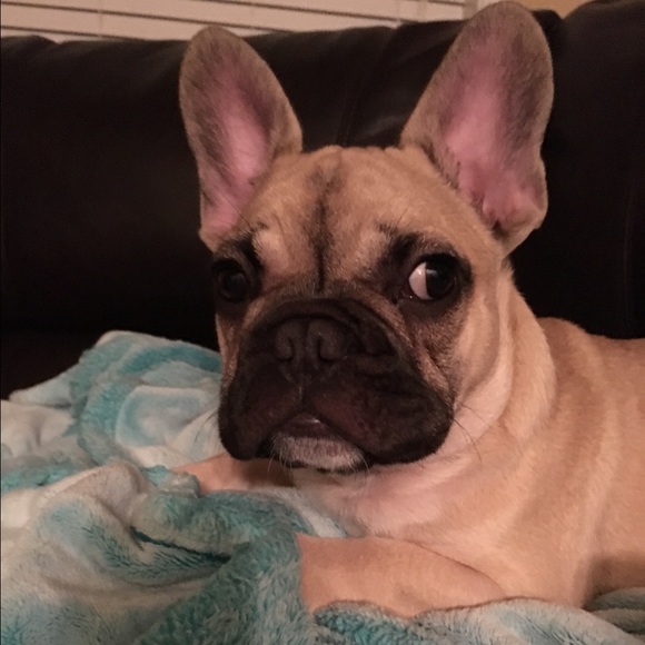 Meet your Posher, Julia - Picture 1 of 1