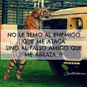 Meet your Posher, Analy