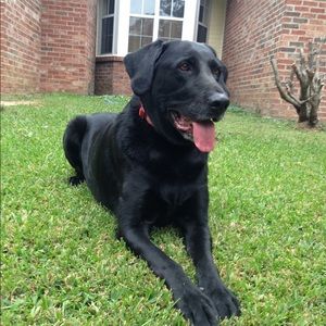 Meet your Posher, Leisha