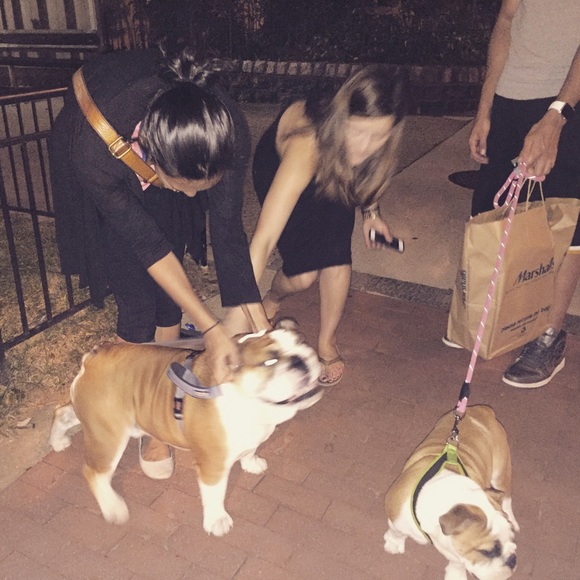 Meet your Posher, Mohini