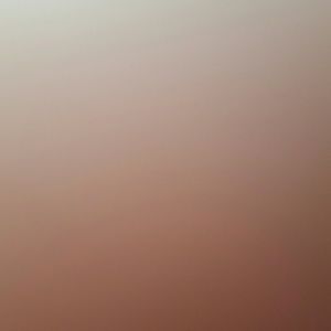 Meet your Posher, Deedee