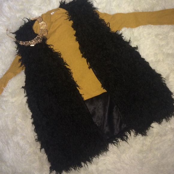 H&M Fur Vest