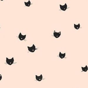 Meet your Posher, Ali