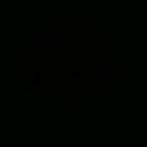 Meet your Posher, Eva