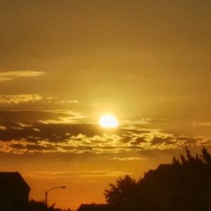 Meet your Posher, Candy