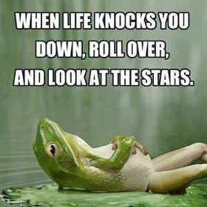 Meet your Posher, Joyce