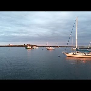 Meet your Posher, Timary