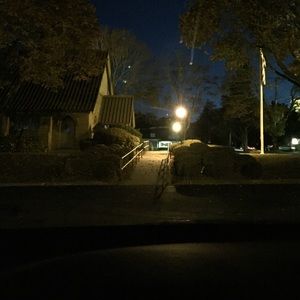 Meet your Posher, Ann