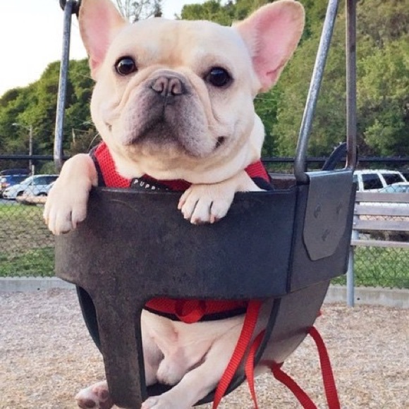 Meet your Posher, Alyssa - Picture 1 of 1