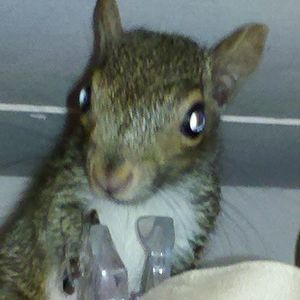 Meet your Posher, Robyn