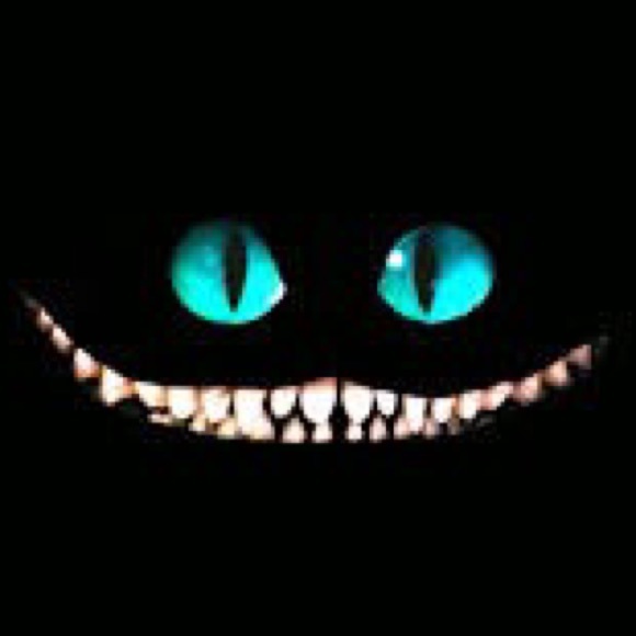 Meet your Posher, Lindy - Picture 1 of 1