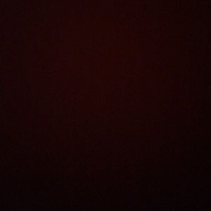 Meet your Posher, Isabella