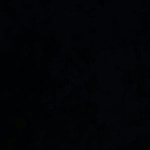 Meet your Posher, Pedro