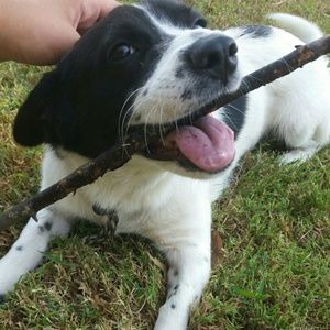 Meet your Posher, Robin