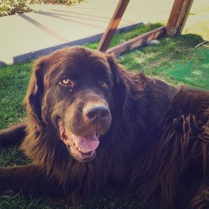 Meet your Posher, Blake