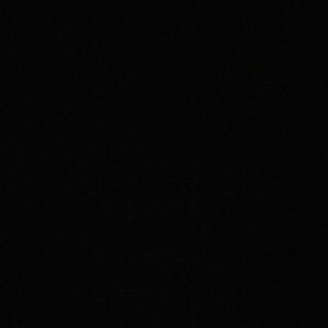 Meet your Posher, Camille