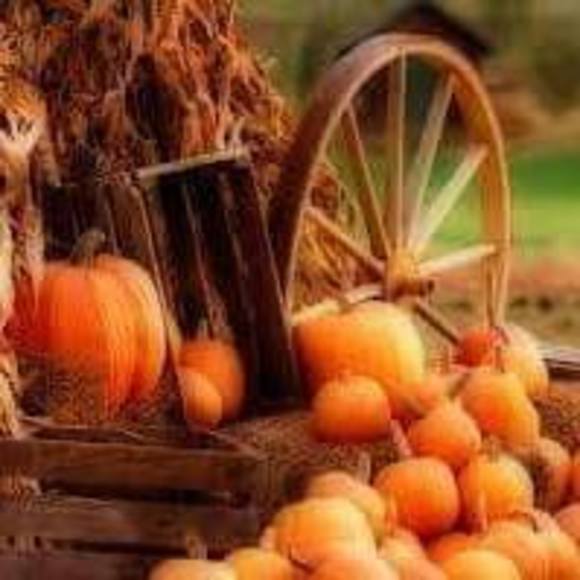 Meet your Posher, Cassandra