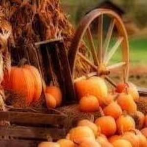 Meet your Posher, Cassandra