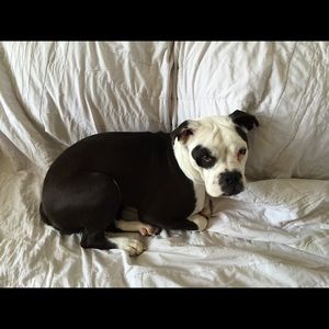 Meet your Posher, Thomas